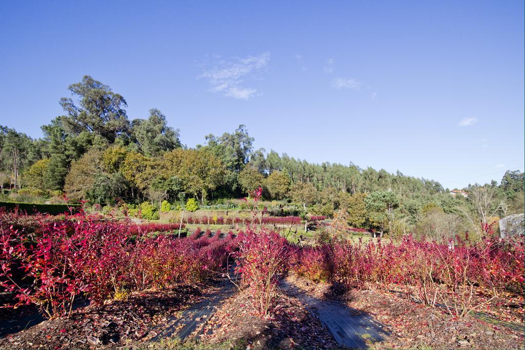 Гостьовий будинок Quinta De Mouraes - Casa Do Xisto Lever Екстер'єр фото